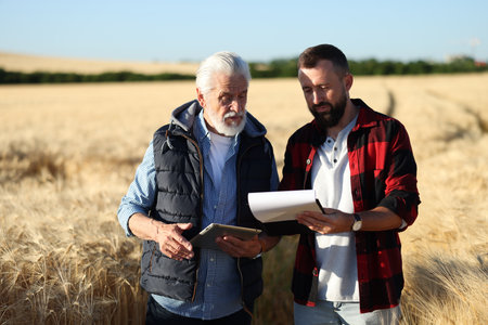 Farmers in field with ripe wheat outdoorsの写真素材