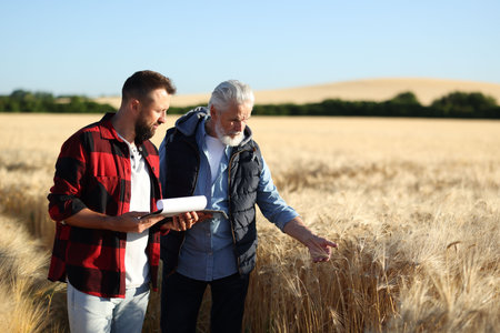 Farmers in field with ripe wheat outdoors, space for textの写真素材