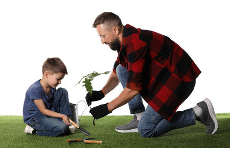 Father and his son planting tree into ground on white backgroundの写真素材