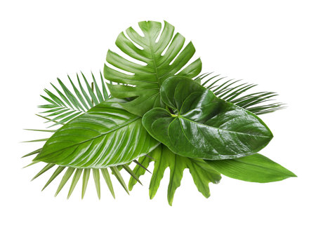 Green tropical leaves isolated on white. Composition of lush foliageの写真素材