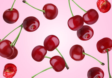 Fresh juicy cherries flying against pink background
