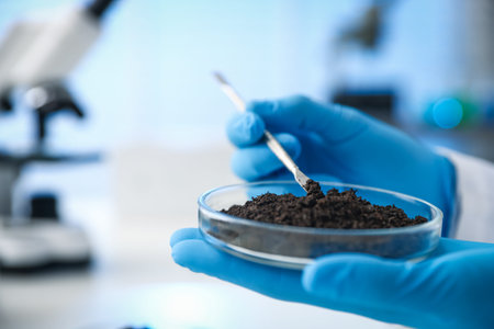 Taking soil sample for research at white table in laboratory, closeup