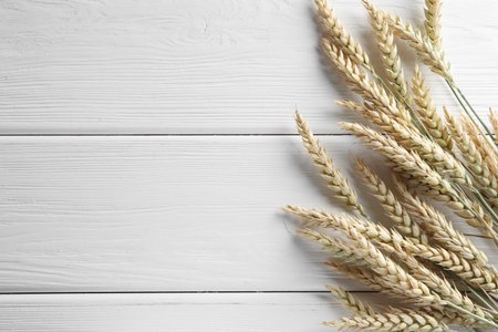 Many wheat spikes on white wooden table, flat lay. Space for text