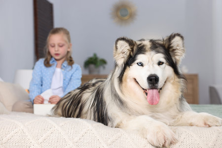 Girl suffering from allergy with her dog on bed at home, selective focusの写真素材