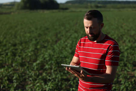 Farmer with tablet in field of unripe soy outdoors, space for text