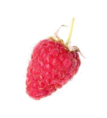One fresh ripe raspberry isolated on white