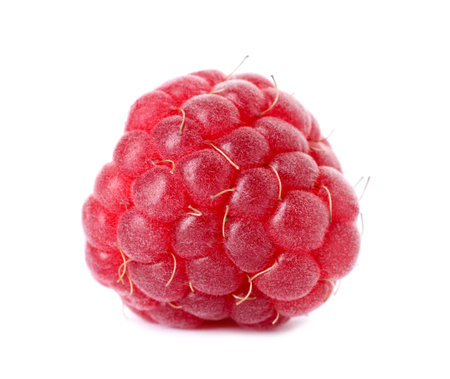 One fresh tasty raspberry isolated on white