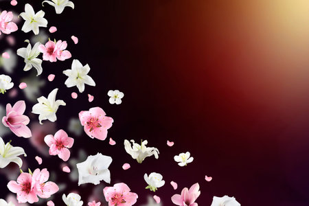 Beautiful flowers and petals in air against color gradient backgroundの写真素材