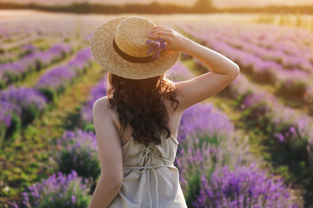 Woman with straw hat and beautiful flowers in lavender field, back viewの写真素材