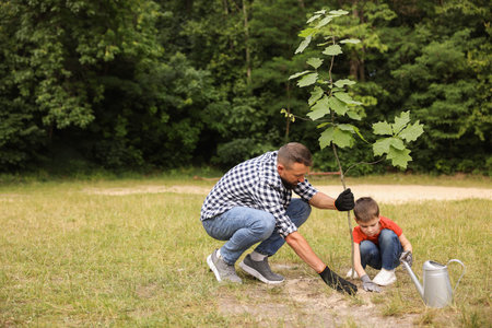 Father and his son planting tree into soil outdoors, space for textの写真素材