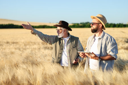Farmers in field with ripe wheat outdoorsの写真素材