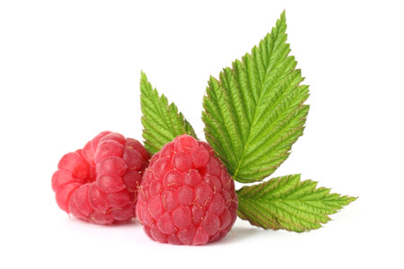 Fresh ripe raspberries and green leaves isolated on white