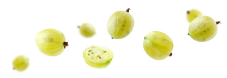 Fresh green gooseberries flying against white backgroundの写真素材