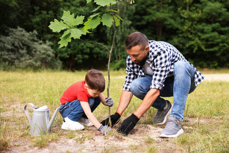 Father and his son planting tree into soil outdoorsの写真素材