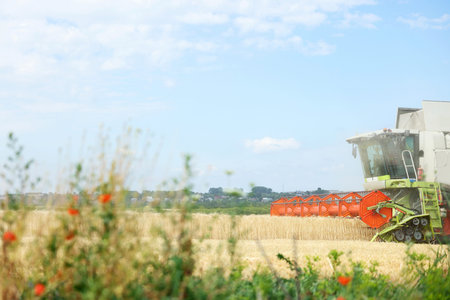 Modern combine harvester working in wheat fieldの写真素材