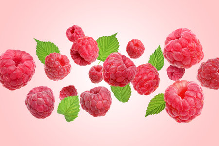 Fresh raspberries and green leaves flying against pink background