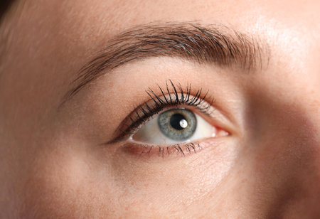 Eyebrow styling. Young woman with beautiful eyebrow, closeup