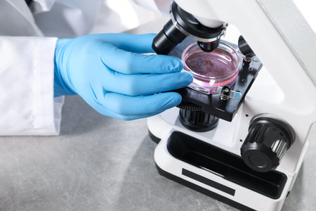 Scientist examining sample under microscope at grey table in laboratory, closeup. Solution chemistry