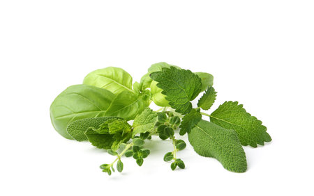 Different fresh green herbs isolated on white