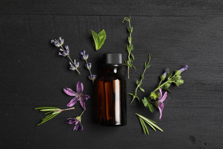 Essential oil and different plants on black wooden background, flat lay