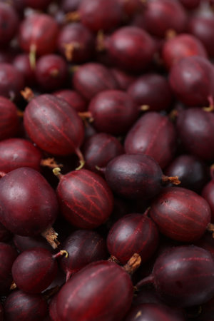 Fresh ripe red gooseberries as background, closeupの写真素材