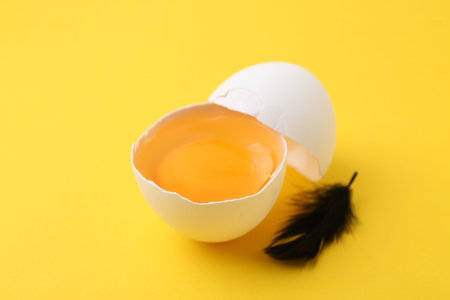 One broken chicken egg and feather on yellow background, closeup