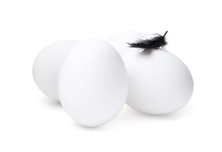 Eggs with feather isolated on whiteの写真素材