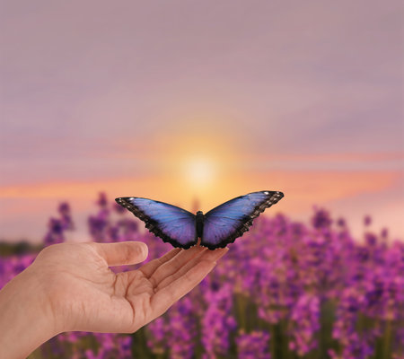 Hope. Woman holding butterfly on hand in nature at sunrise, closeup