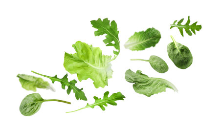 Fresh salad leaves flying against white background. Lettuce, arugula and spinachの写真素材