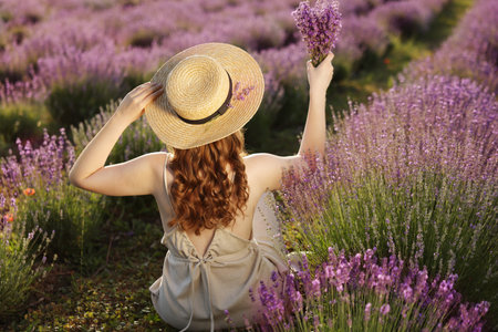 Woman with beautiful lavender flowers in field, back viewの写真素材