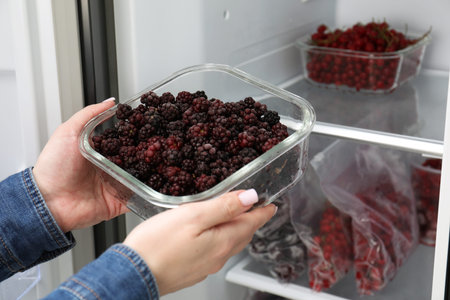 Freezing berries. Woman putting container with blackberries into open refrigerator, closeup