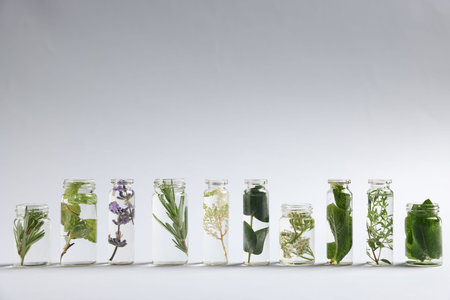 Essential oils with different plants in bottles on light gray background