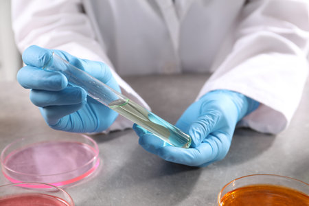 Scientist with test tube of sample at gray table in laboratory, closeup. Solution chemistry