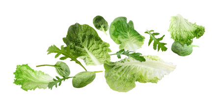 Fresh salad leaves flying against white background. Lettuce, spinach and arugulaの写真素材