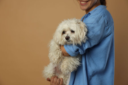 Happy teenage girl with Maltese dog on beige background, closeup. Space for text