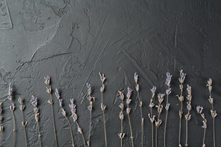 Fragrant lavender flowers on black textured table, flat lay. Space for text