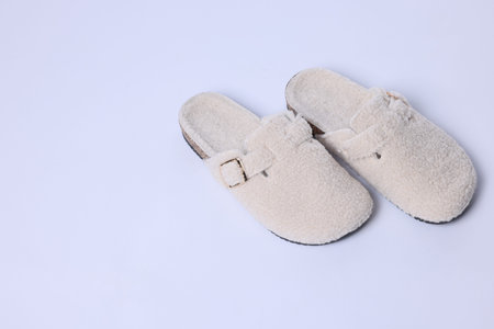 Pair of stylish slippers on white background. Space for textの写真素材