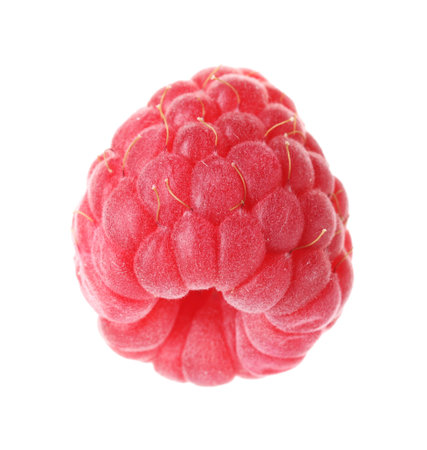 One fresh tasty raspberry isolated on white