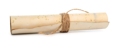 Old rolled paper scroll isolated on whiteの写真素材