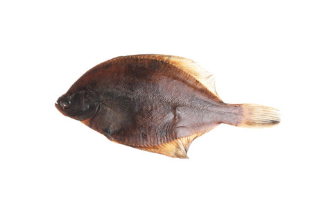 Fresh raw flounder fish isolated on white, top view. Seafoodの写真素材