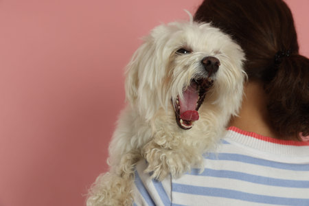 Happy teenage girl with dog on pink background, back view.の写真素材