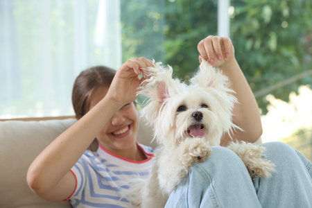 Happy teenage girl with cute Maltese dog on sofa at home