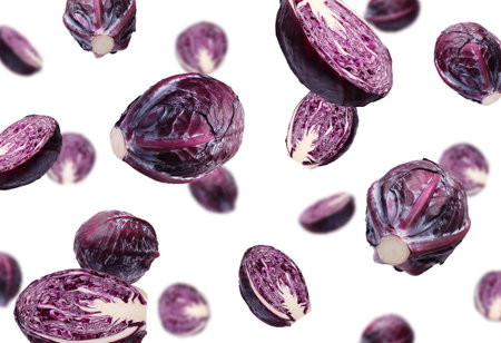Fresh red cabbages falling on white backgroundの写真素材
