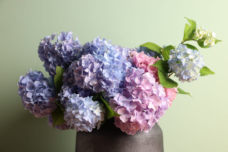 Beautiful hortensia flowers in vase on light green background, closeup