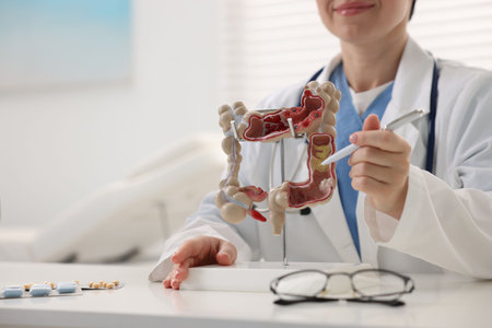 Gastroenterologist showing model of large intestine at white table in clinic, closeup. Space for textの写真素材