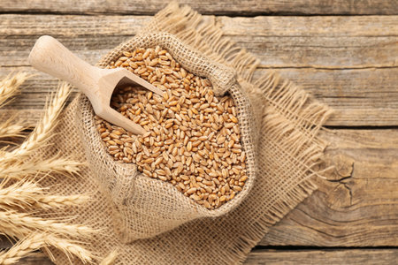 Wheat grains in burlap bag, scoop and spikes on wooden table, flat lay. Space for textの写真素材