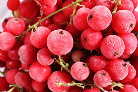 Ripe frozen red currants as background, closeup