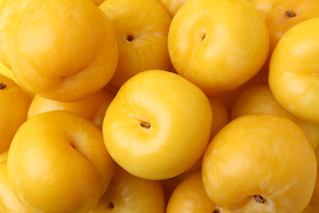 Many ripe yellow cherry plums as background, closeupの写真素材