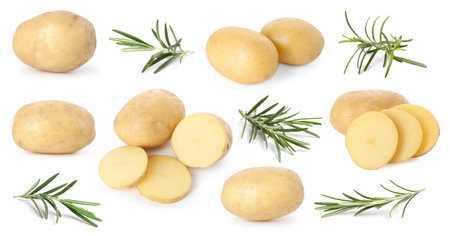 Fresh raw potatoes and rosemary isolated on white, collageの写真素材