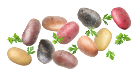 Different types of fresh potatoes with parsley flying on white backgroundの写真素材